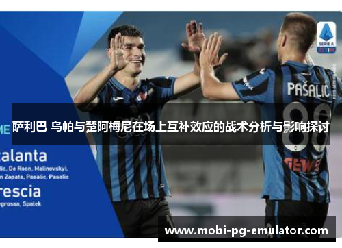 萨利巴 乌帕与楚阿梅尼在场上互补效应的战术分析与影响探讨