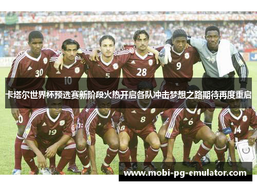 卡塔尔世界杯预选赛新阶段火热开启各队冲击梦想之路期待再度重启 卡塔尔世界杯预选赛新阶段火热开启各队冲击梦想之路期待再度重启