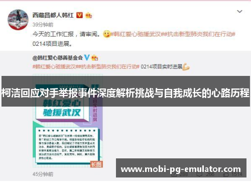 柯洁回应对手举报事件深度解析挑战与自我成长的心路历程 柯洁回应对手举报事件深度解析挑战与自我成长的心路历程
