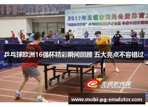 乒乓球欧洲16强杯精彩瞬间回顾 五大亮点不容错过
