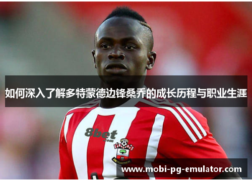 如何深入了解多特蒙德边锋桑乔的成长历程与职业生涯 如何深入了解多特蒙德边锋桑乔的成长历程与职业生涯